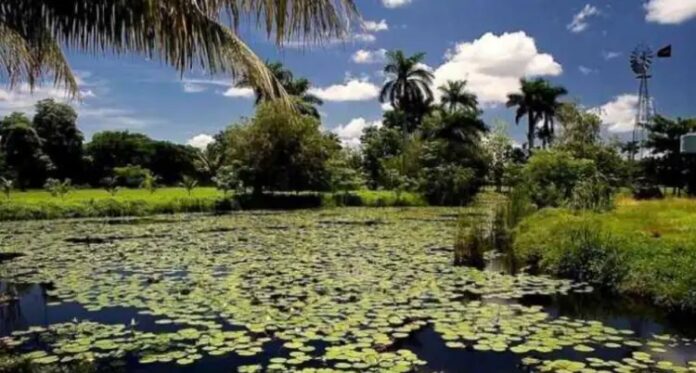 Ciénaga de Zapata, el humedal más grande del Caribe