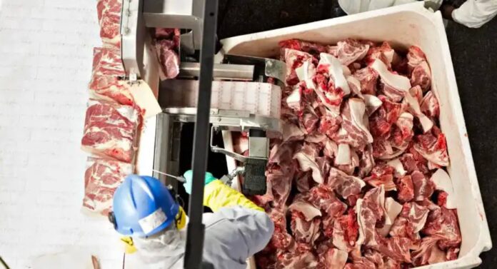 Régimen cubano importará carne de cerdo y vísceras desde México