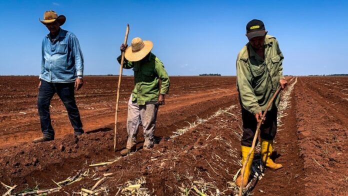 Cuba pone en vigor decreto contra discriminación laboral