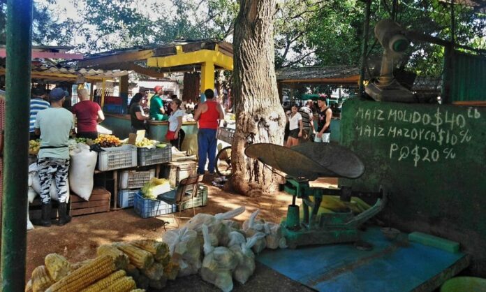 Así están hoy los precios de los alimentos en Cuba