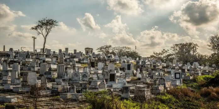 Los judíos y el insospechado “holocausto” verde olivo