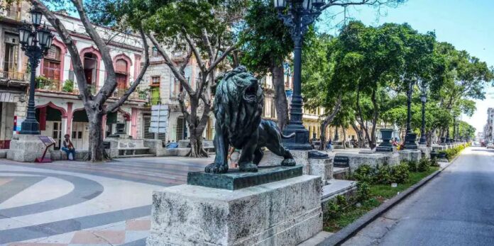 Prado: la historia detrás del paseo y sus leones