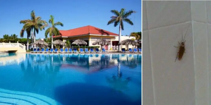 Turista canadiense demanda a Sunwing por venderle vacaciones a Cuba