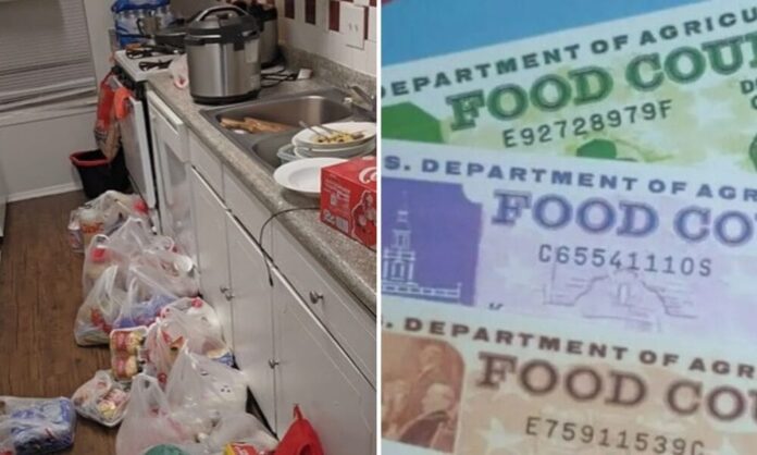 Madre cubana tras compra de alimentos con Food Stamps en EE.UU: “Estoy impresionada”