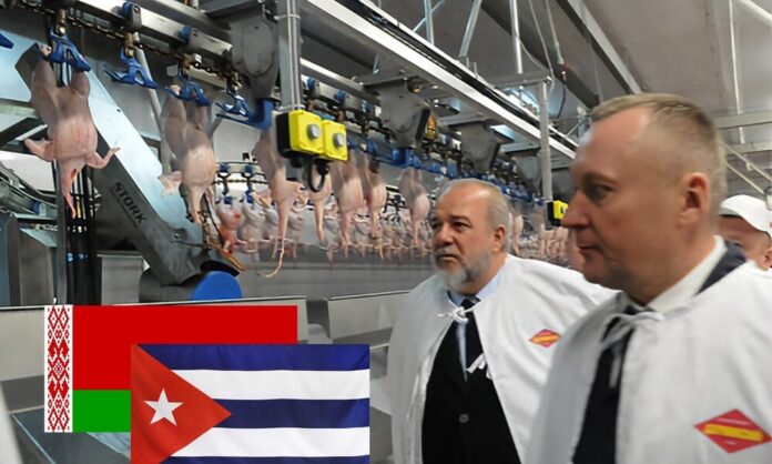 Gobierno cubano busca soluciones a escasez de carne y lácteos mediante alianzas con Bielorrusia