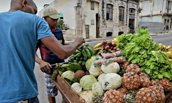 2700 pesos un cartón de huevos: Así están los precios de los alimentos hoy en Cuba (listado)