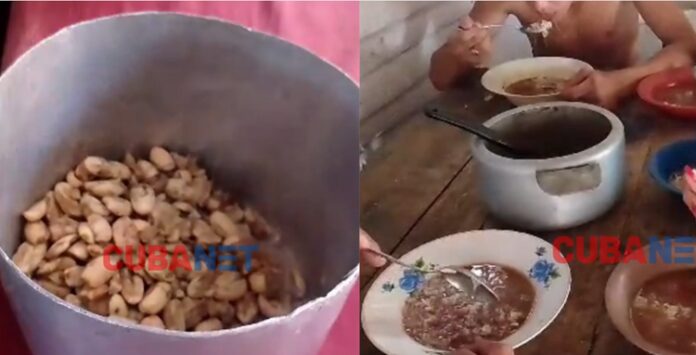 Cubanos hacen “frijoles” con semillas de mamoncillos