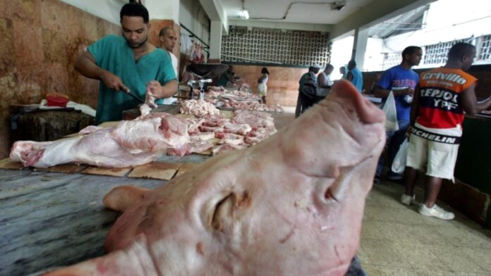 Producción de carne de cerdo cayó “casi un 90%” en Cuba entre 2018 y 2022