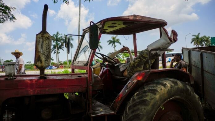 “Aquí no hay nada para hacer una cosecha”, responden campesinos ante nueva exigencia del Partido Comunista de Cuba