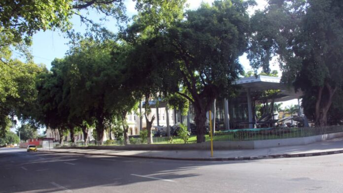 A Museum in Havana that Few Visit Today – Photo of the Day – Havana Times