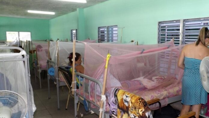 Menos prevención y más dengue en Cuba, alertan activistas (VIDEO)