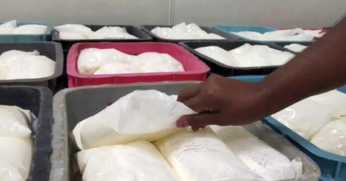 Más de 90 mil litros de yogurt fueron robados para alimentar cerdos