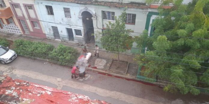 La Habana es un matadero