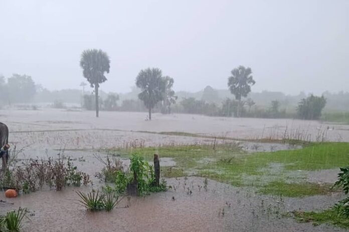 Lluvias significativas en el occidente de Cuba: el tiempo para hoy 26 de diciembre