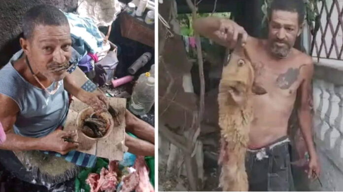 Maltrato animal: un cubano caza animales en la calle para comérselos