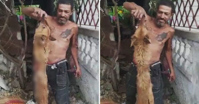 Animalistas cubanos denuncian a hombre por supuestamente comerse a un perro