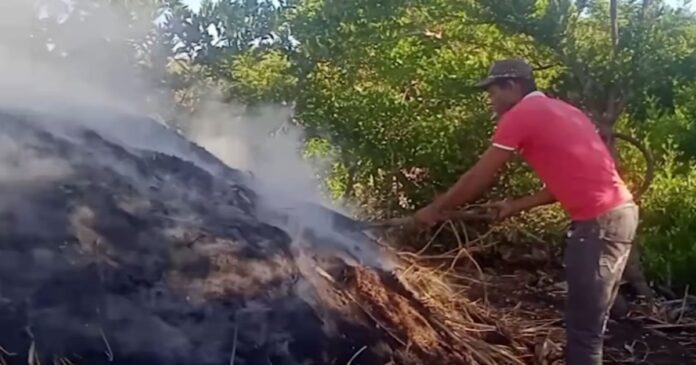 El rey del carbón. Oficios de Cuba