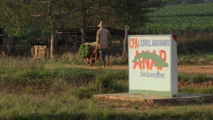 El 2024 será crítico para la agricultura cubana, aseguran campesinos independientes