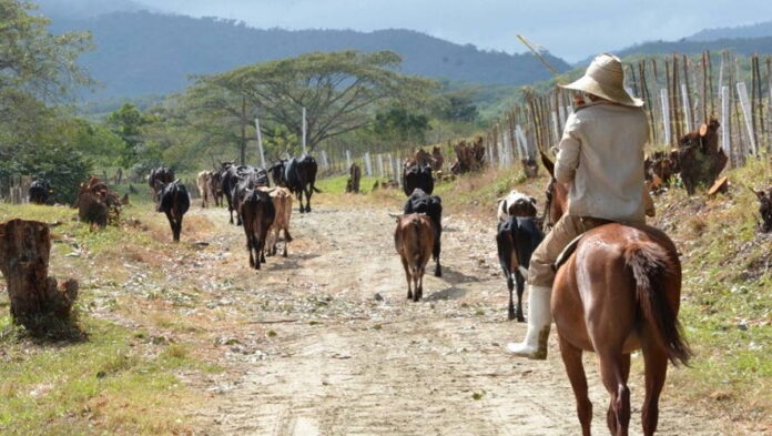 Mejora genética del ganado y nuevas variedades de hortalizas, pero el pueblo pasa hambre