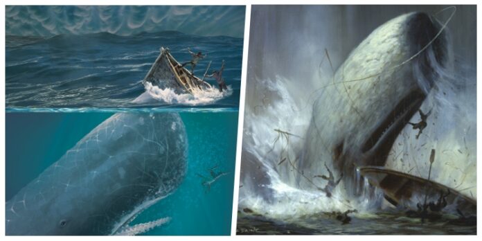 Hombre contra bestia: las historias reales que inspiraron “Moby Dick”