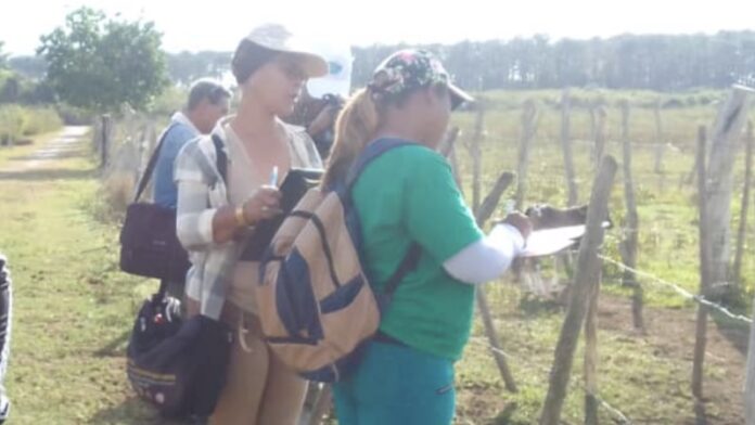 Nuevos controles agrícolas traerán mayor acoso al campesinado, alertan desde Cuba