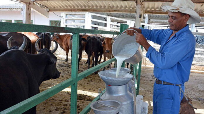 Camagüey no acopia leche suficiente para niños menores de 7 años