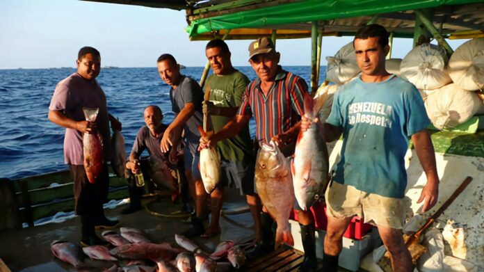 Oficial: pescadores cubanos podrán vender sus capturas sin intermediarios