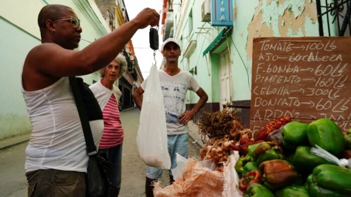 Campesinos avisan que cosechas enteras están a punto de perderse por la crisis energética en Cuba