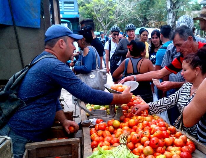 La Habana: precios de las Ferias Agropecuarias este fin de semana