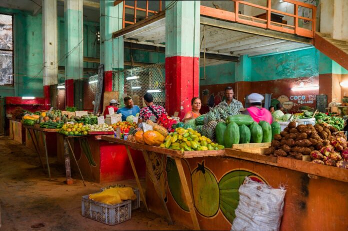 Listado de precios para las ferias agropecuarias de La Habana este fin de semana