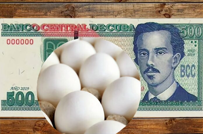 De lanzarlos, a pagar más de un salario por un cartón de huevos en Cuba