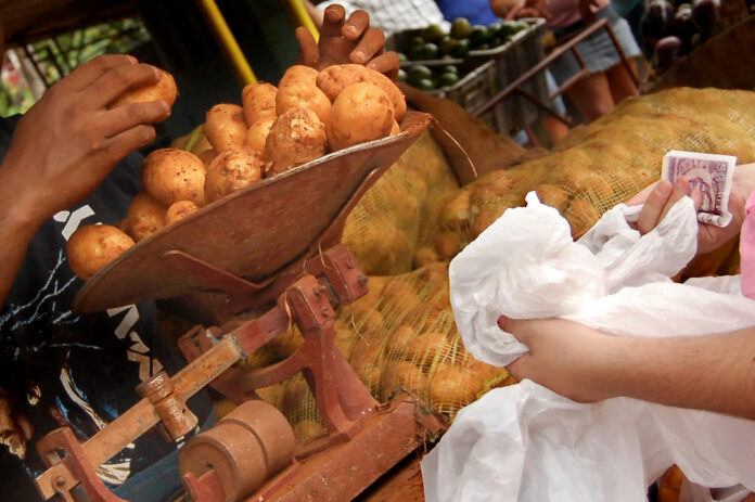 Venta de papas en Cuba: entre revendores y la pérdida de miles de toneladas