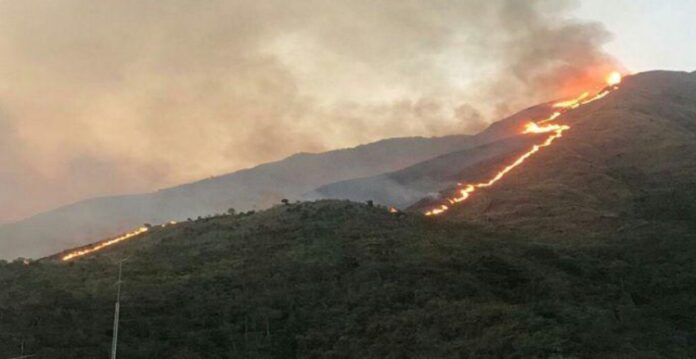 Incendio forestal en Viñales afecta más de 300 hectáreas