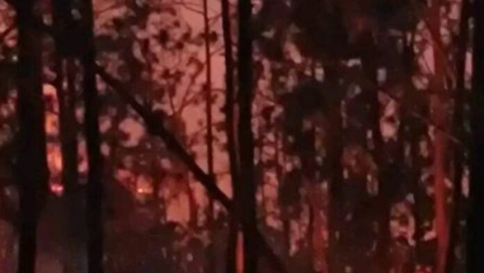 Incendio forestal de grandes proporciones devora hectáreas de pinos cerca de Viñales