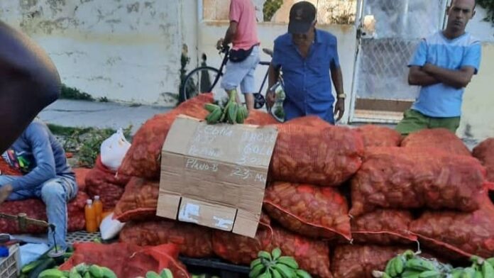 Anuncian nuevas Ferias Agropecuarias en La Habana: ¿se cumplen los precios pactados?