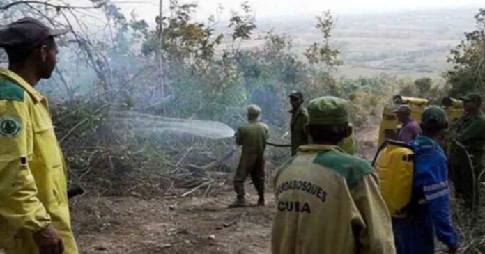 Sofocado incendio forestal de grandes proporciones en Pinar del Río