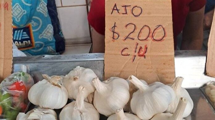 Fiasco en Ferias Agropecuarias: Habaneros estallan ante precios desorbitados