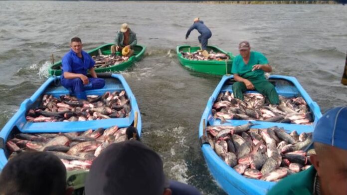 El 65% de los barcos pesqueros en Las Tunas están en desuso