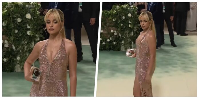 Camila Cabello llevó un “bolso” de hielo al Met Gala 2024… y se derritió