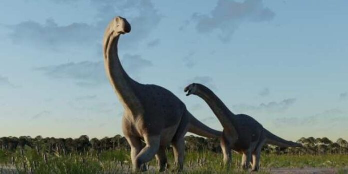 Nueva especie de dinosaurio descubierta en Argentina