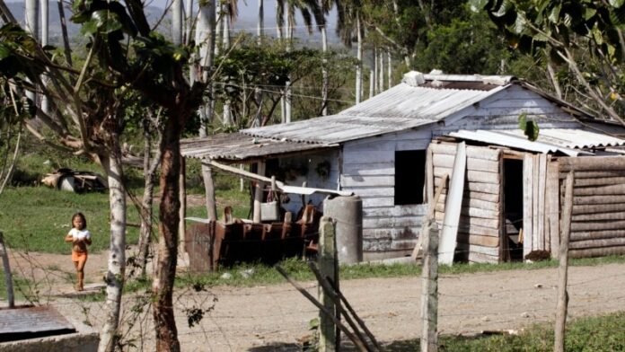 “Hay tristeza en los campos de Cuba”, agricultores dicen que este 17 de Mayo no hay nada que celebrar