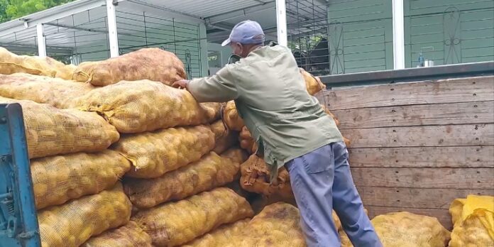 Aumentan delitos en Las Tunas: MININT reconoce 500 en primeros meses de 2024