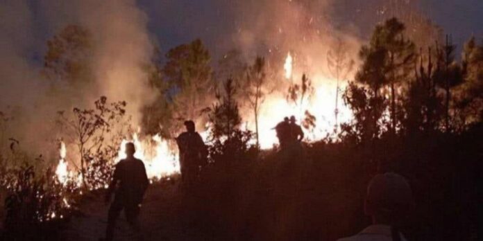 Extinguen uno de los dos incendios forestales en Pinar del Río