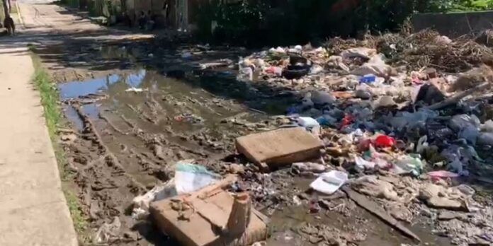 En aguas albañales y contaminadas: Advierten sobre propagación del virus Oropouche