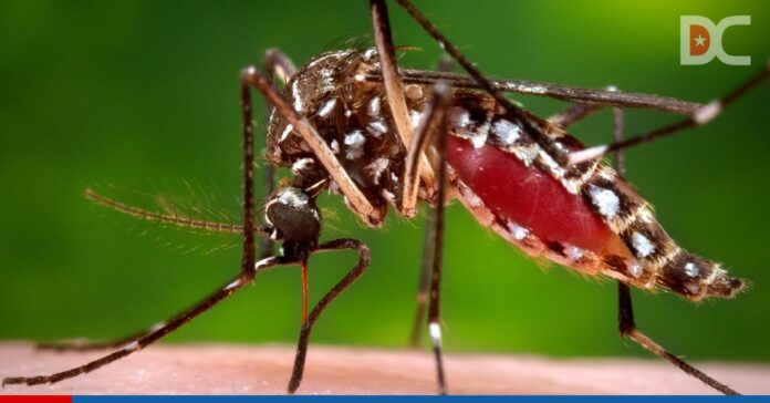 Medio centenar de casos de dengue en Florida vinculados con viajes a Cuba