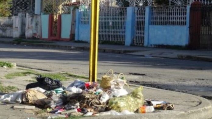 “Aquí no han fumigado”: Cienfuegueros preocupados por la fiebre Oropouche