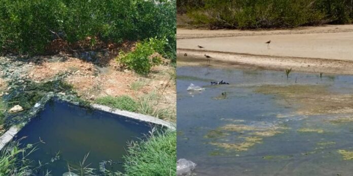 Meliá Trinidad Península Hotel Releases Contaminated Water onto a Mangrove