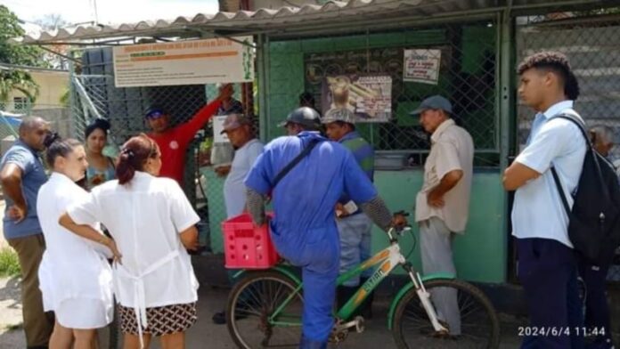 San Nicolás, Ranchuelo… detectan casos del Oropouche en otras zonas de Cuba