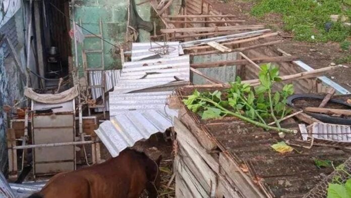 Tormenta local severa deja estragos en casi una veintena de viviendas en San Antonio de Cabezas, Matanzas