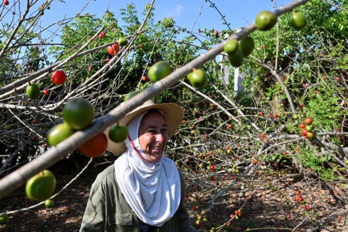 Cuban Farmer Seeks to Multiply Permaculture Opportunities – Havana Times